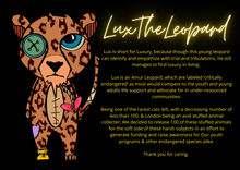 Load image into Gallery viewer, LUX THE LEOPARD PLUSHIE
